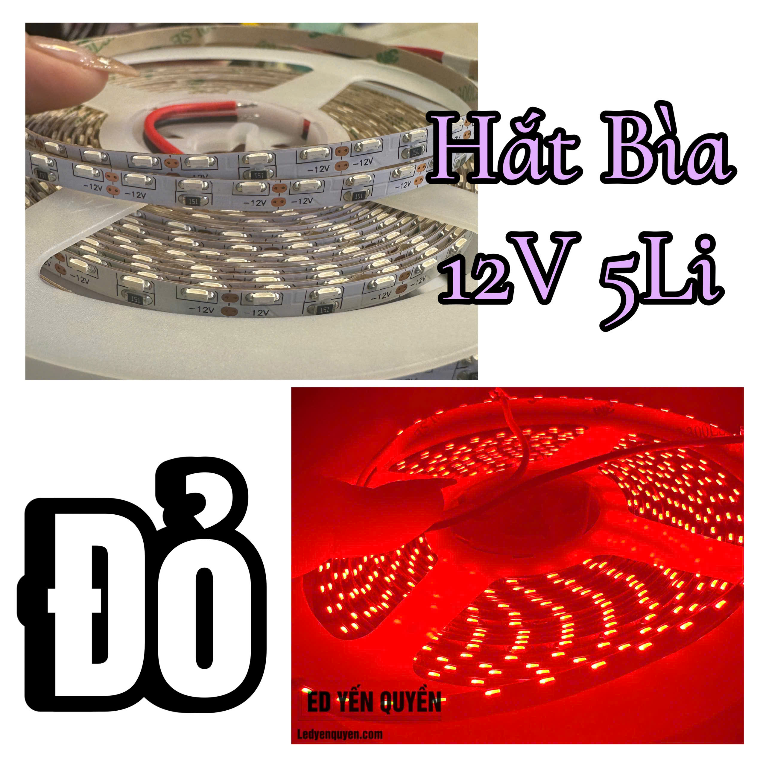 day-hat-bia-12v-do