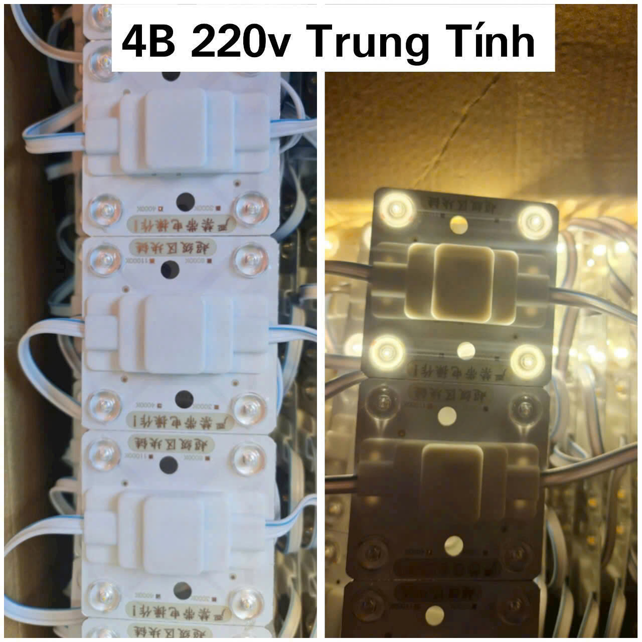 4b-220v-trong-nha-trung-tinh