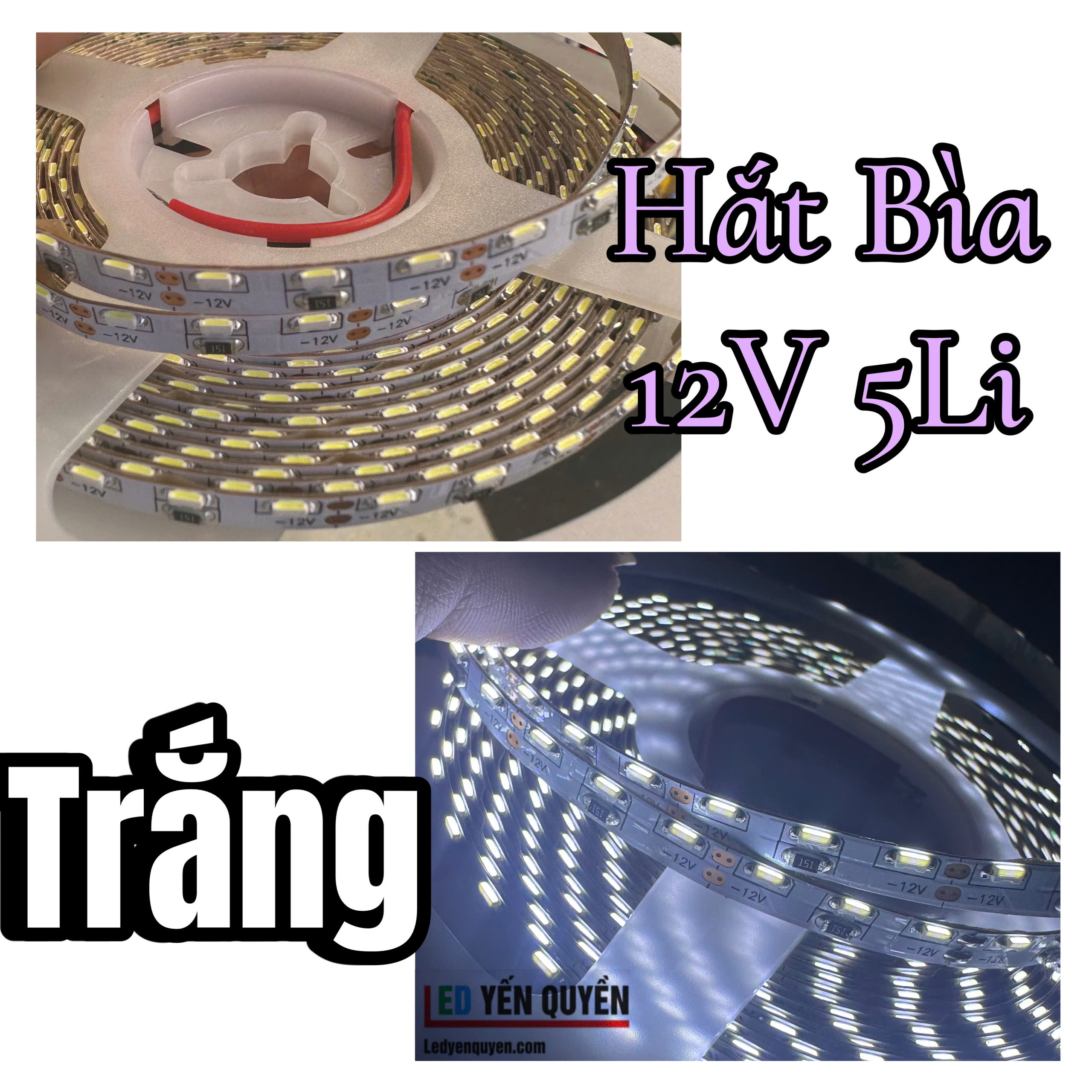 day-hat-bia-12v-trang