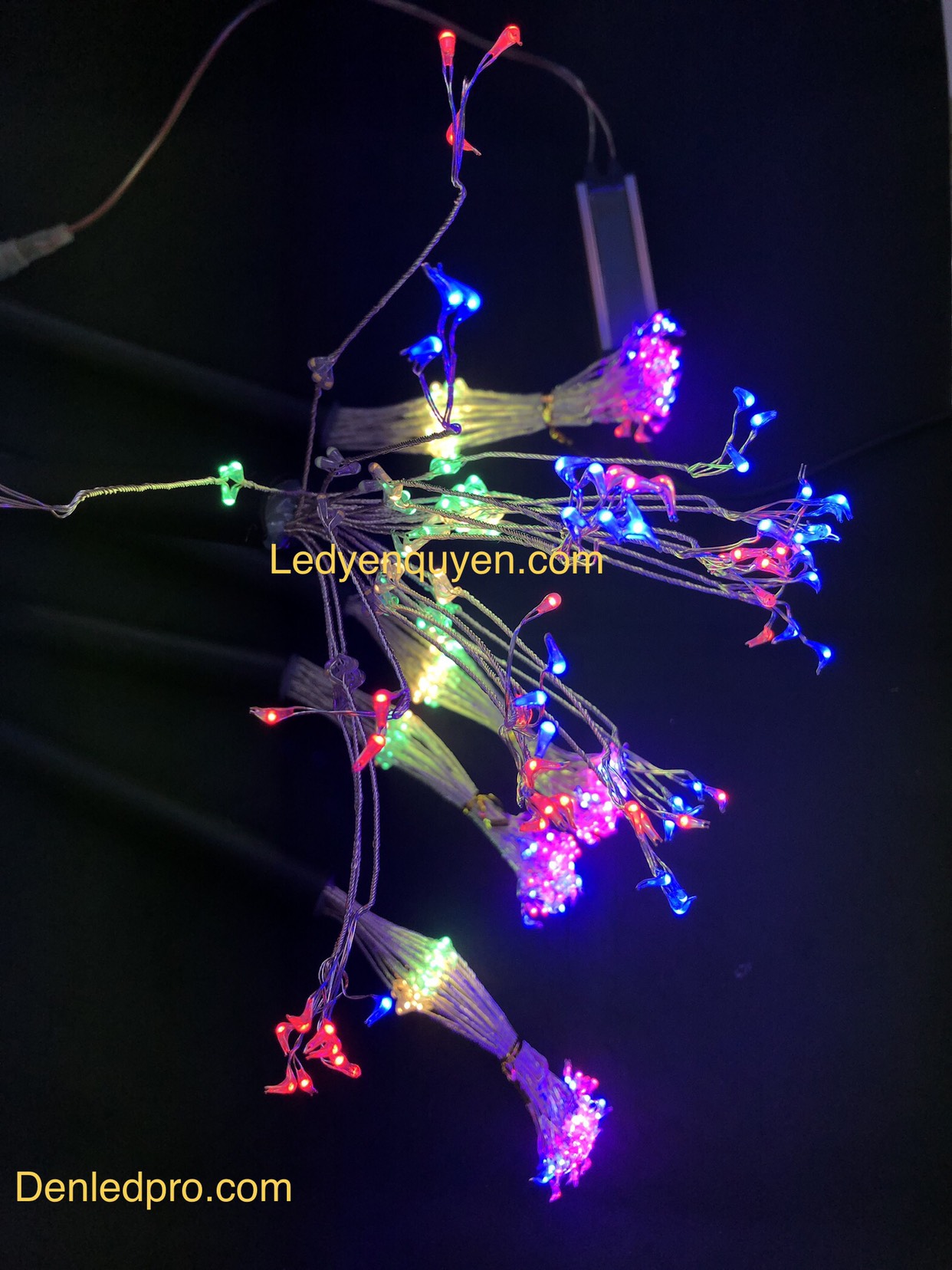 LED Dây Äom Äóm Cấm Cá» 5 Cây LED Dây Äom Äóm Cấm Cá» 5 Cây